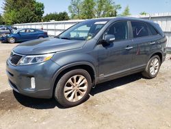 Salvage cars for sale at Finksburg, MD auction: 2014 KIA Sorento EX