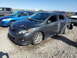 Salvage cars for sale at Magna, UT auction: 2010 Toyota Corolla Base