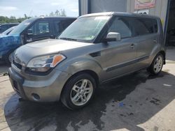Salvage cars for sale from Copart Duryea, PA: 2011 KIA Soul +