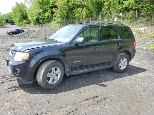 2009 Ford Escape Hybrid