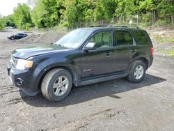 Salvage cars for sale at Marlboro, NY auction: 2009 Ford Escape Hybrid