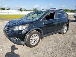 Salvage cars for sale from Copart Houston, TX: 2013 Honda CR-V EXL