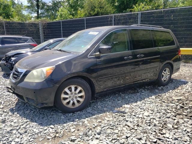 2008 Honda Odyssey EXL