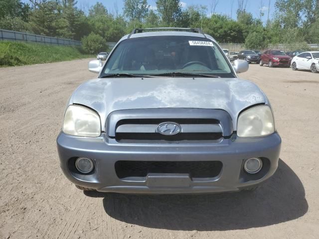 2005 Hyundai Santa FE GLS