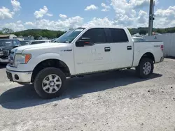 Vehiculos salvage en venta de Copart Lebanon, TN: 2014 Ford F150 Supercrew