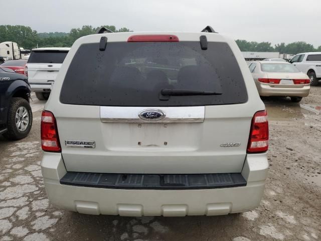 2008 Ford Escape Limited