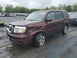 Honda Vehiculos salvage en venta: 2013 Honda Pilot Exln