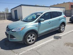 Salvage cars for sale at Anthony, TX auction: 2013 Ford Escape SE