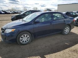 Salvage cars for sale from Copart Rocky View County, AB: 2013 Toyota Corolla Base