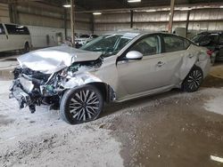 Salvage cars for sale from Copart Des Moines, IA: 2023 Nissan Altima SV