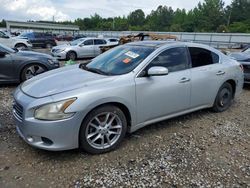 Salvage cars for sale from Copart Memphis, TN: 2010 Nissan Maxima S