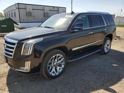 Vehiculos salvage en venta de Copart Bismarck, ND: 2019 Cadillac Escalade Premium Luxury