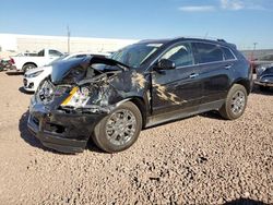 Salvage cars for sale at Phoenix, AZ auction: 2011 Cadillac SRX Luxury Collection