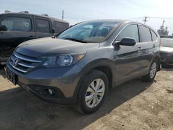 Salvage cars for sale at Chicago Heights, IL auction: 2013 Honda CR-V EX