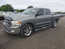Salvage cars for sale at Finksburg, MD auction: 2010 Dodge RAM 1500