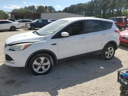 Salvage cars for sale from Copart Seaford, DE: 2014 Ford Escape SE