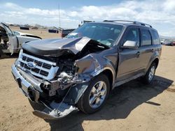 Salvage cars for sale at Brighton, CO auction: 2009 Ford Escape Limited