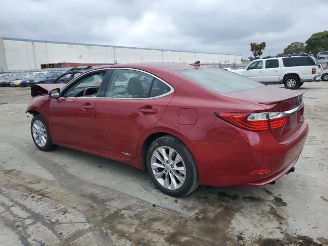 2013 Lexus ES 300H