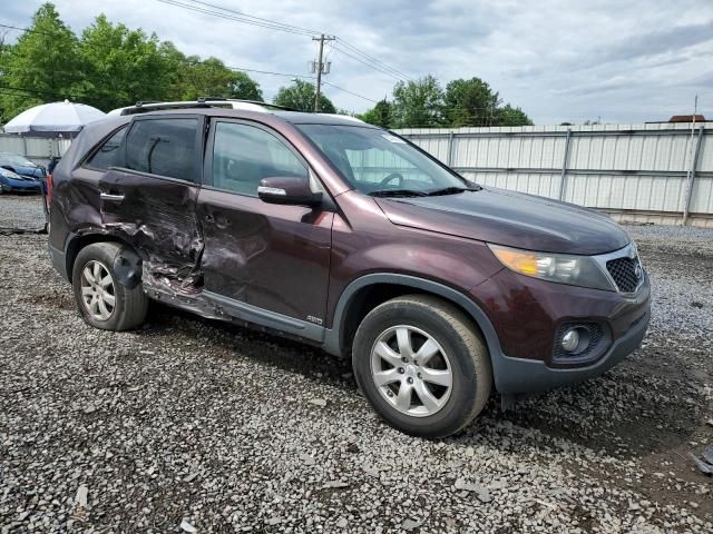 2011 KIA Sorento Base