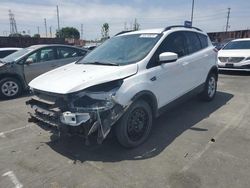 Salvage cars for sale at Wilmington, CA auction: 2014 Ford Escape SE