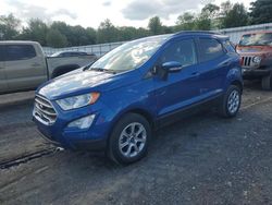Salvage SUVs for sale at auction: 2019 Ford Ecosport SE