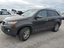 Salvage cars for sale at Indianapolis, IN auction: 2011 KIA Sorento EX