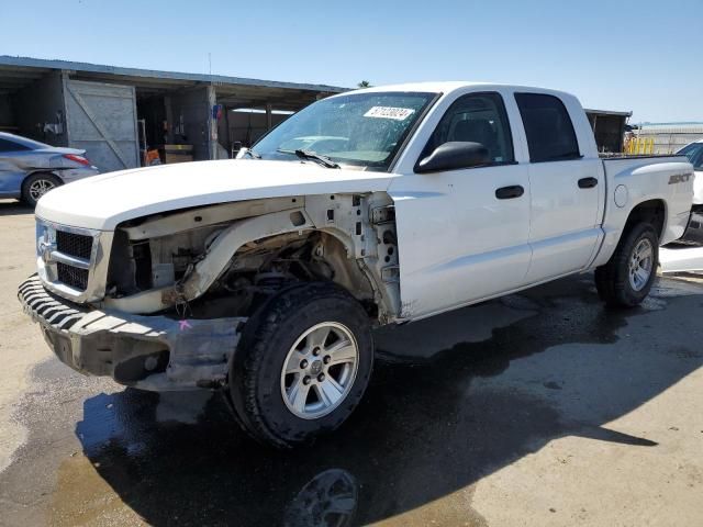 2008 Dodge Dakota SXT