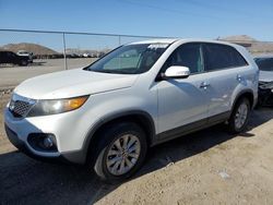 Salvage cars for sale at North Las Vegas, NV auction: 2013 KIA Sorento LX