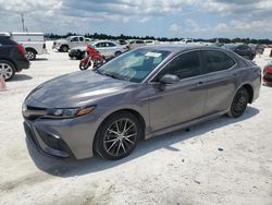 Salvage cars for sale at Arcadia, FL auction: 2022 Toyota Camry SE