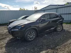 Lexus salvage cars for sale: 2021 Lexus NX 300 Base