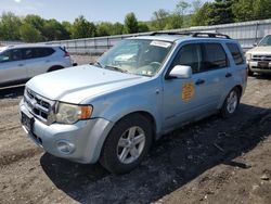 Salvage cars for sale at Grantville, PA auction: 2008 Ford Escape HEV