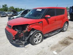 Salvage cars for sale at Lawrenceburg, KY auction: 2014 KIA Soul +