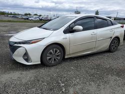 Salvage cars for sale at Eugene, OR auction: 2017 Toyota Prius Prime