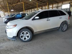 Salvage cars for sale at Phoenix, AZ auction: 2011 Ford Edge SEL