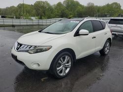 Nissan Murano s salvage cars for sale: 2009 Nissan Murano S