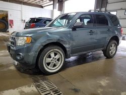 Salvage cars for sale from Copart Blaine, MN: 2010 Ford Escape XLT