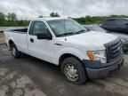 2010 Ford F150