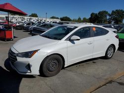 Hyundai Elantra se salvage cars for sale: 2019 Hyundai Elantra SE