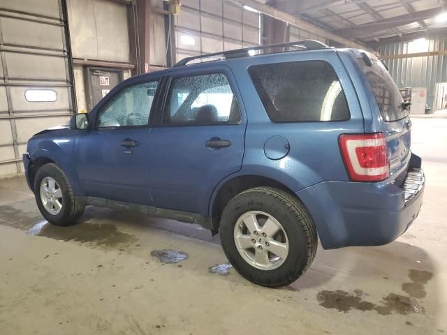 2009 Ford Escape XLT