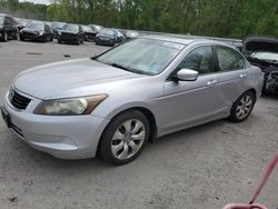 Salvage cars for sale at auction: 2010 Honda Accord EXL