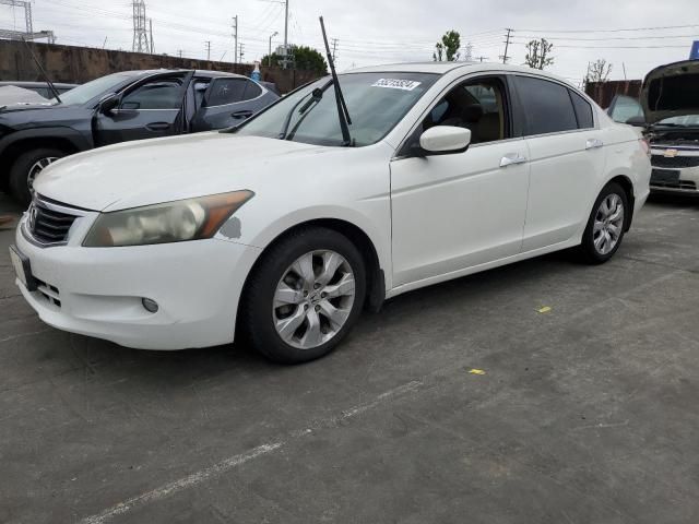 2010 Honda Accord EXL