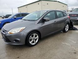 Salvage cars for sale from Copart Haslet, TX: 2014 Ford Focus SE