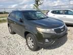 2011 KIA Sorento Base