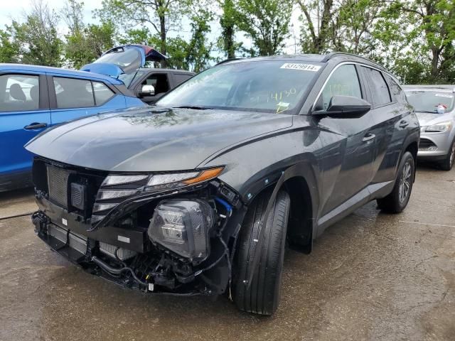 2022 Hyundai Tucson Blue