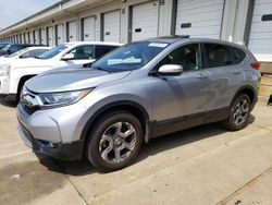 Salvage cars for sale at Louisville, KY auction: 2019 Honda CR-V EXL