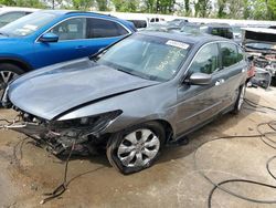 Honda Accord salvage cars for sale: 2010 Honda Accord EXL