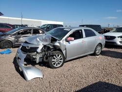 Vehiculos salvage en venta de Copart Phoenix, AZ: 2010 Toyota Corolla Base