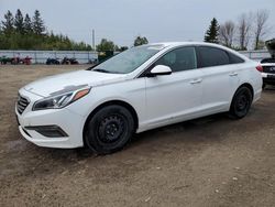 Salvage cars for sale at Bowmanville, ON auction: 2017 Hyundai Sonata SE