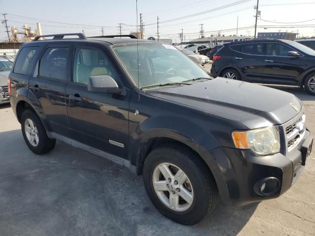 2008 Ford Escape HEV