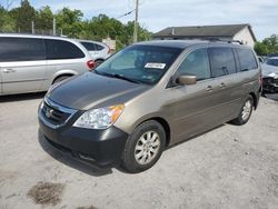Salvage cars for sale at York Haven, PA auction: 2009 Honda Odyssey EXL